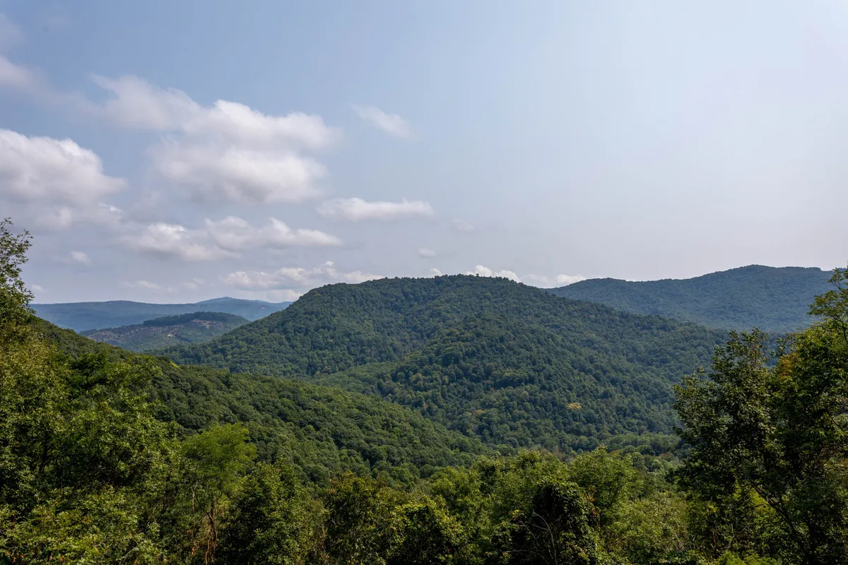 A sweeping vista of rolling hills, dense forests, and a bright blue sky—representing the local landscape and the adventures that await just beyond the lodge, such as hiking and wildlife observation.